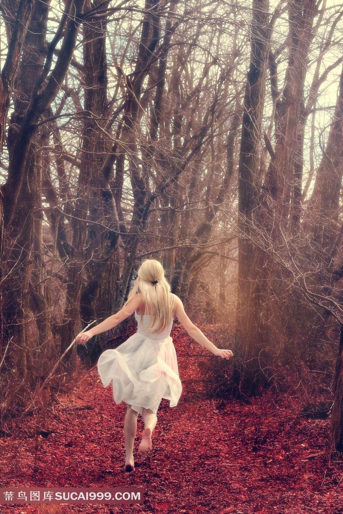 秘书调教play高h