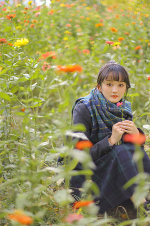 国产一区二区三区精品免费永久